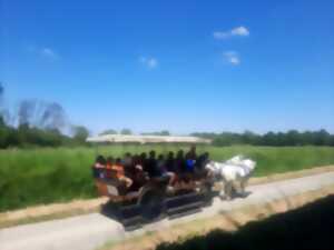 Fête au coeur des prairies du Fouzon à Couffy