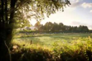 Randonnée pédestre du CAMUS