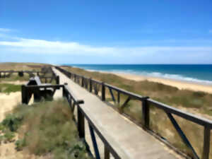 photo La journée de l'océan