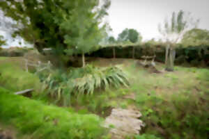 PL'Secrets : Entre pierre et sources