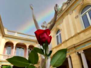 SANT JORDI - LA ROSE DANS TOUS SES JARDINS