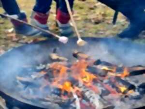 Un après-midi à la ferme
