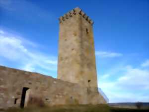 VISITE GARDE GUÉRIN