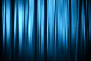 Le Président est en Sologne