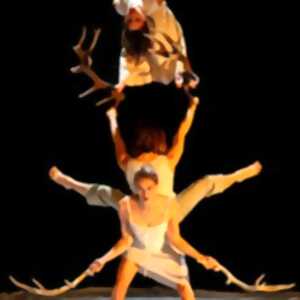 photo Faune - Théâtre de la Cité Internationale - Paris