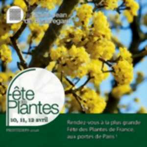 photo Fête des Plantes de Printemps 2026