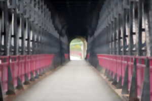 VISITE GUIDÉE - REYNÈS