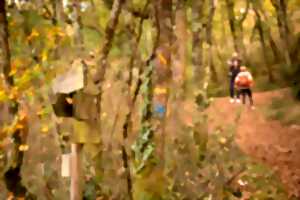 Randonnée semi-nocturne