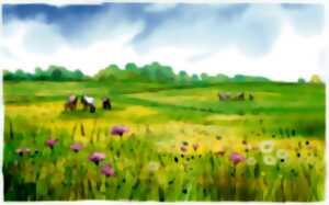 Flore des prairies humides