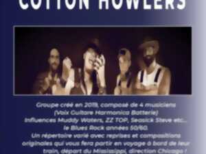 Concert Cotton Howlers