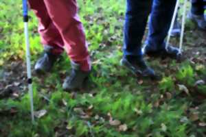 Randonnée pédestre