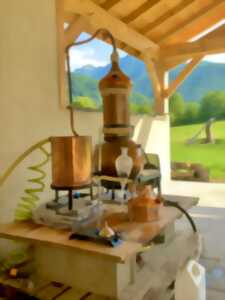 Atelier distillation