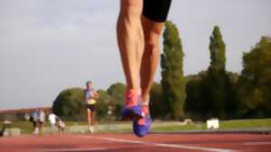 Courses de Morsbronn