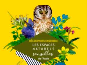 ENS - NOS PERCEPTIONS DANS LA NUIT