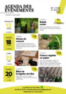 Teinture végétale sur papier avec Les Elixirs de Terre Mère