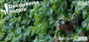 Découvertes Sologne Nature - Enquête d'affût à Bracieux