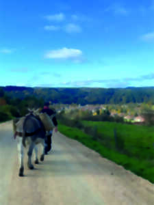 SORTIE NATURE : BALADE CONTÉE AVEC UN ÂNE