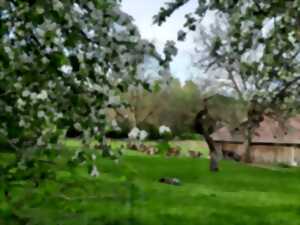 Marché Paysan et Portes Ouvertes à la Ferme du Fol'Epi