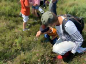 Sortie nature : Au pays des plantes carnivores