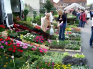Marché aux fleurs, Artisanat et Saveurs du terroir