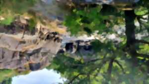 Sortie nature au Roc d'Enfer