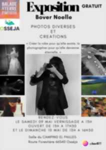 EXPOSITION BOVER NOELLE - PHOTOS DIVERSES ET CRÉATIONS - OSSÉJA