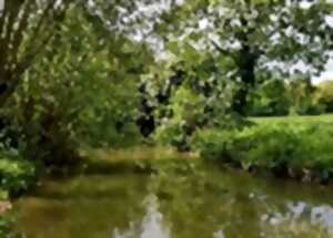 Les Rendez-Vous Nature - Qu'est il SENSÉE vivre ici?