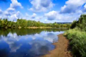 Sortie nature avec le CEN Nouvelle-Aquitaine