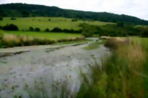 L'été en vallée de la Meuse, focus sur la noue