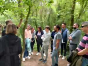 Génies de la nature : leurs super-pouvoirs !