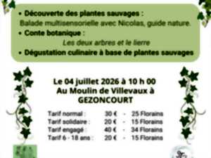 Balade et Conte Botanique en Petite Suisse Lorraine