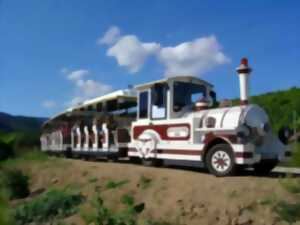 photo Visite de Riquewihr en Petit Train Touristique