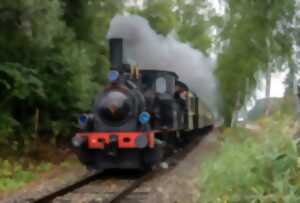 Circuit train à vapeur et bateau sur le Rhin