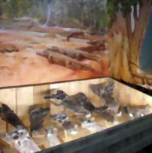 EXPOSITION : DINOSAURES, LES GEANTS DU VIGNOBLE
