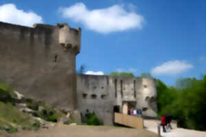 photo Club Vosgien : Le château du Hohlandsbourg