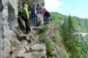 photo Club Vosgien : Le sentier des roches