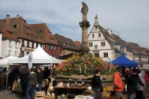 photo Marché de Printemps