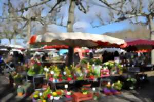 photo Marché traditionnel