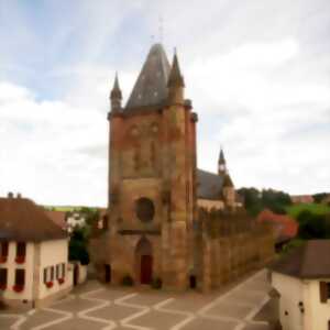 photo Visite commentée de la Collégiale Saint-Florent