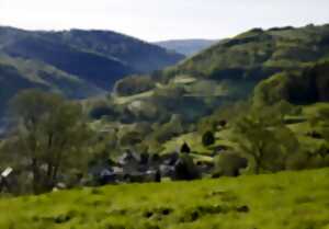 Sentiers Plaisir : Le vallon de Barembach et la côte des Vignes