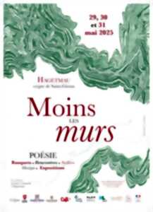 Festival Moins les Murs