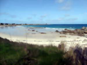 Finistère Manifestation Culturelle Nettoyage De Plage