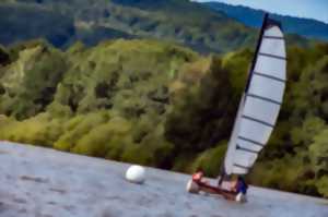 L'ÉTÉ DU MALSAUCY - AFTERWORK THOMAS SCHAEFFLER JR