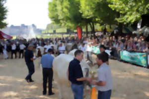 FÊTE DE L'ÉLEVAGE ANNULÉE