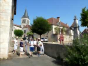 photo Balade des orchidées