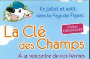 photo Fermes en fête à la ferme de Caffoulens