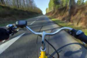 Balade contée à vélo en Brocéliande