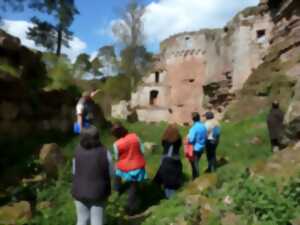 Visite guidée du château du Schoeneck