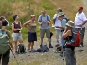 photo Sentiers Plaisir : Le sentier des Passeurs